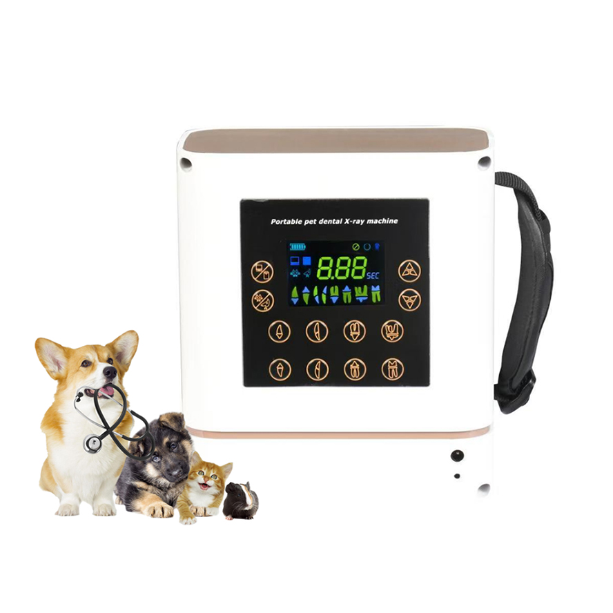 Veterinary X-Ray - Appareil de radiographie dentaire portable pour