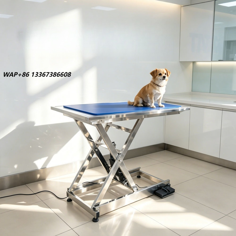 Veterinary X-Ray - ⚠ Table d'examen radiologique pour animaux,