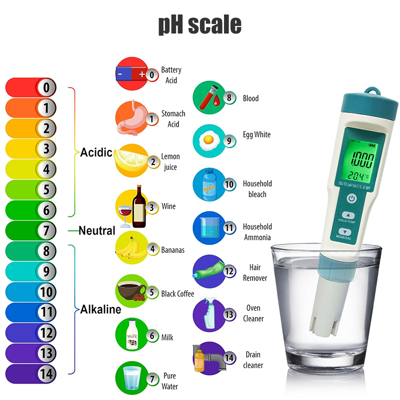 WESTTUNE – ph-mètre numérique  - Ph Meter avis et prix